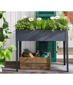 Bio Oregano -Compo Verkaufsgeschäft 8610206 8609984 8610099 8609935 8610123 8610271 WE MO 002 RosmarinItalienKraeuter SalbeiMelisseMinzeMajoranOreganum