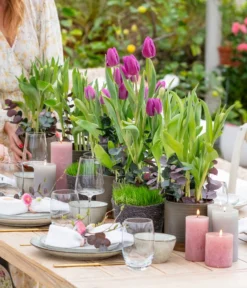 Tulpen 'Purple Flag' -Compo Verkaufsgeschäft 8660102 WE MO 001 TulpenPurpleFlag