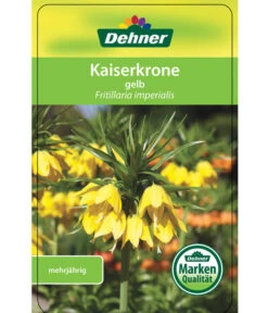 Kaiserkrone -Compo Verkaufsgeschäft 8664674 KaiserkroneLutea Etikett 01