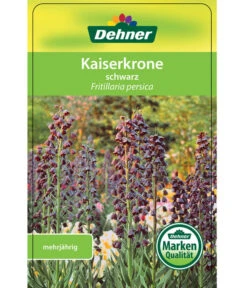 Persische Kaiserkrone -Compo Verkaufsgeschäft 8664708 KaiserkroneSchwarz Etikett 1