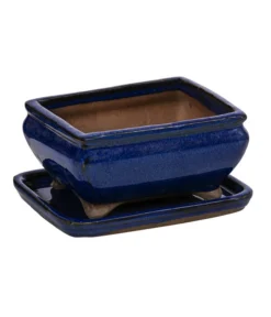 Dehner Keramik-Bonsaischale, Rechteckig, Ca. B15/H6,5/T11 Cm