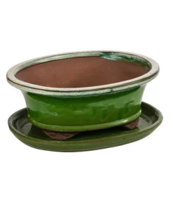 Dehner Keramik-Bonsaischale, Oval, Hellgrün/beige