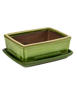 Dehner Keramik-Bonsaischale, Rechteckig, Gelb/hellgrün, Ca. B21/H7,5/T15 Cm