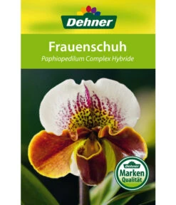 Frauenschuh - Paphiopedilum Hybride, Verschiedene Sorten -Compo Verkaufsgeschäft 8756744 Paphiopedilum Frauenschuh Etikett1