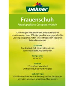 Frauenschuh - Paphiopedilum Hybride, Verschiedene Sorten -Compo Verkaufsgeschäft 8756744 Paphiopedilum Frauenschuh Etikett2