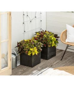 Beet- & Balkonpflanzen-Set Farbexplosion, 6-teilig -Compo Verkaufsgeschäft 8800567 PR MO 001 Beet Balkon SetBuntnessel