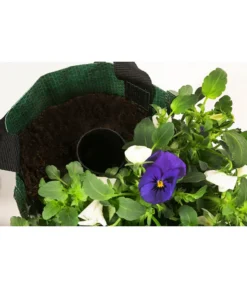 Wandhänger Mit Hornveilchen, Verschiedene Sorten -Compo Verkaufsgeschäft 8809048 WE DE 004 ViolaWandhaenger