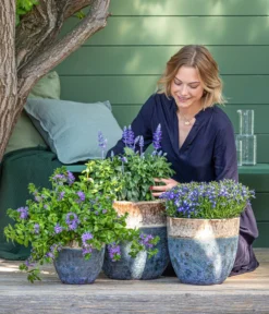 Dehner Keramik-Topf Mystras, Rund, Blau-braun -Compo Verkaufsgeschäft 8811143 WE MO 001 BlaueMauritius 1