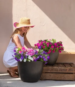 Dehner Leichtbeton-Pflanztopf Manchester, Rund, Antik-schwarz -Compo Verkaufsgeschäft 8814311 3337136 3337144 3337151 3337169 WE MO 001 HaengepetunienSurfiniaT12 PowerWachser