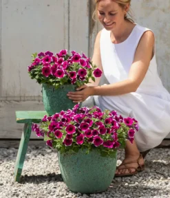 Dehner Keramik-Topf Rhodos, Rund, Blau-grün -Compo Verkaufsgeschäft 8824021 4273900 4273918 4273934 WE MO 001 HaengepetuniePicoteeT12 CrossSellTeaser 1