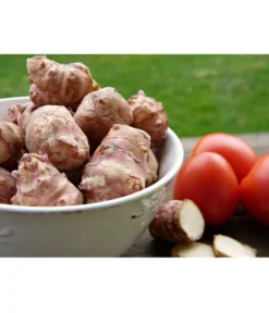 Topinambur -Compo Verkaufsgeschäft 8830184 PR MO 001 TopinamburPixabay