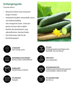 Schlangengurke -Compo Verkaufsgeschäft 8830788 WE IG 001 Schlangengurke