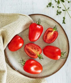 Bioland Eiertomate -Compo Verkaufsgeschäft 8831463 WE MO 001 BiolandEiertomate