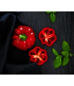 Dehner Gourmet Garten Tomatenpaprika -Compo Verkaufsgeschäft 8831562 WE MO 001 TomatenpaprikaRenner