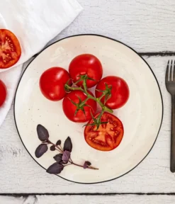 Bioland Buschtomate -Compo Verkaufsgeschäft 8831968 WE MO 001 BiolandBuschtomate