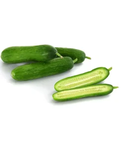 Snackgurke -Compo Verkaufsgeschäft 8833063 8830960 WE DE 001 GourmetGartenSnackgurkeVeredelt