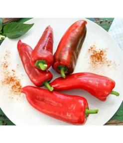 Spitzpaprika, Rot