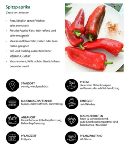 Spitzpaprika, Rot -Compo Verkaufsgeschäft 8833501 WE IG 001 Spitzpaprika
