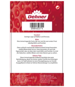 Erdbeere 'Delizz' -Compo Verkaufsgeschäft 8840274 ErdbeereDelizzImmertragend Etikett 2