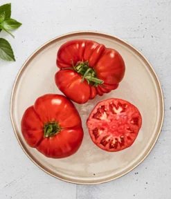 Bioland Fleischtomate -Compo Verkaufsgeschäft 8842627 WE MO 001 BiolandFleischtomate