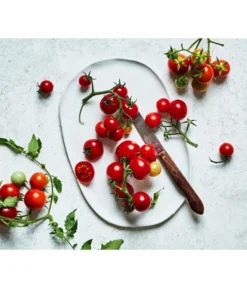 Bioland Cherrytomate -Compo Verkaufsgeschäft 8842635 WE MO 002 Bio Cherrytomate