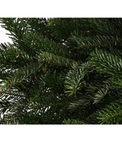 Nordmann-Tanne, Ca. 80-100 Cm, Im Topf Gewachsen -Compo Verkaufsgeschäft 8995938 WE DE 003 AbiesNordmanniananNordmanntanne80 100DehnerExpressHerzig