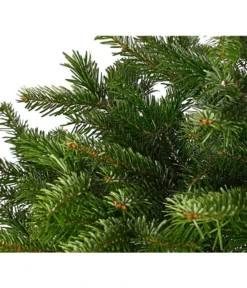 Nordmann-Tanne, Ca. 125-150 Cm, Im Topf Gewachsen -Compo Verkaufsgeschäft 8995946 WE DE 001 AbiesNordmannianaNordmanntanne125 150Co8LDehnerExpressHerzig