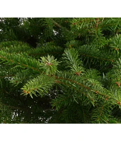 Nordmann-Tanne, Ca. 100-125 Cm, Im Topf Gewachsen -Compo Verkaufsgeschäft 8995953 WE DE 001 AbiesNordmannianaNordmanntanne100 125Container8LiterDehnerExpressHerzig