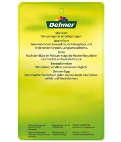 Stechpalme 'Heckenfee' -Compo Verkaufsgeschäft AmerikanischerIlexHeckenfee Etikett 2