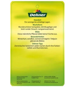 Stechpalme 'Heckenstar' -Compo Verkaufsgeschäft AmerikanischerIlexHeckenstar Etikett 2