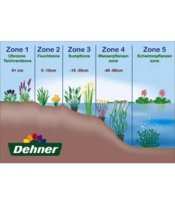 Sumpfdotterblume -Compo Verkaufsgeschäft WE DE 001 Teichzonen Wasserpflanzen Schild 8